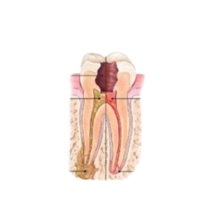 Dentist near me